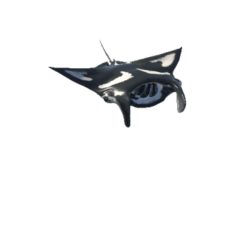 Manta Stingray_DownSwim_anim